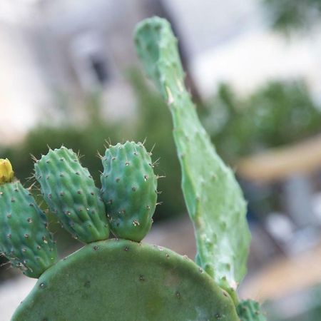 Il Giardino Delle Margherite Lecce Bagian luar foto