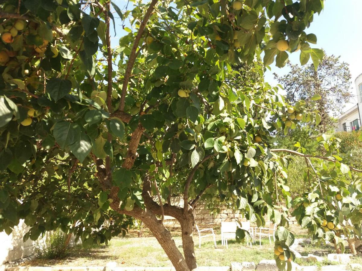 Il Giardino Delle Margherite Lecce Bagian luar foto