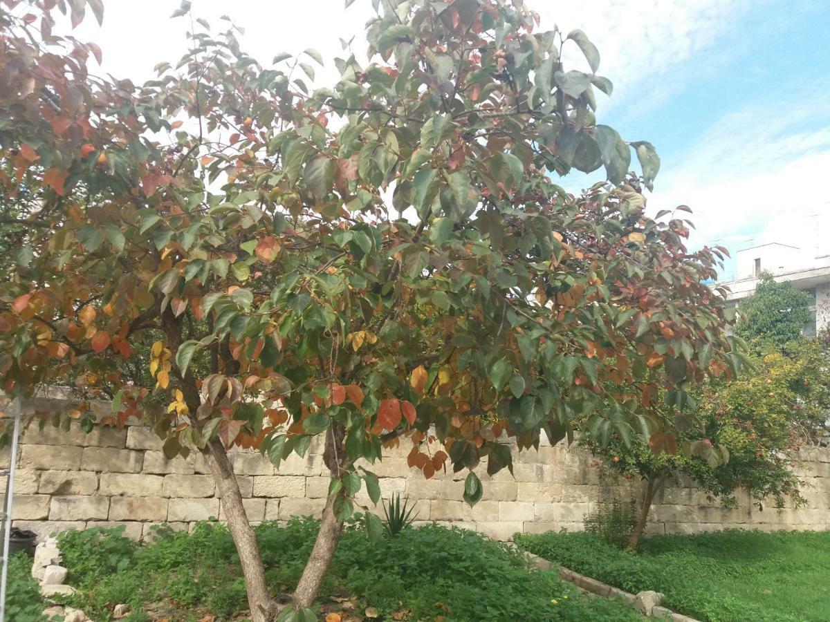 Il Giardino Delle Margherite Lecce Bagian luar foto