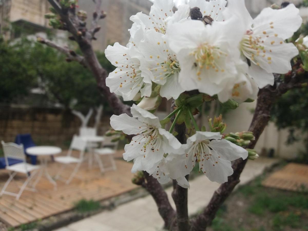 Il Giardino Delle Margherite Lecce Bagian luar foto